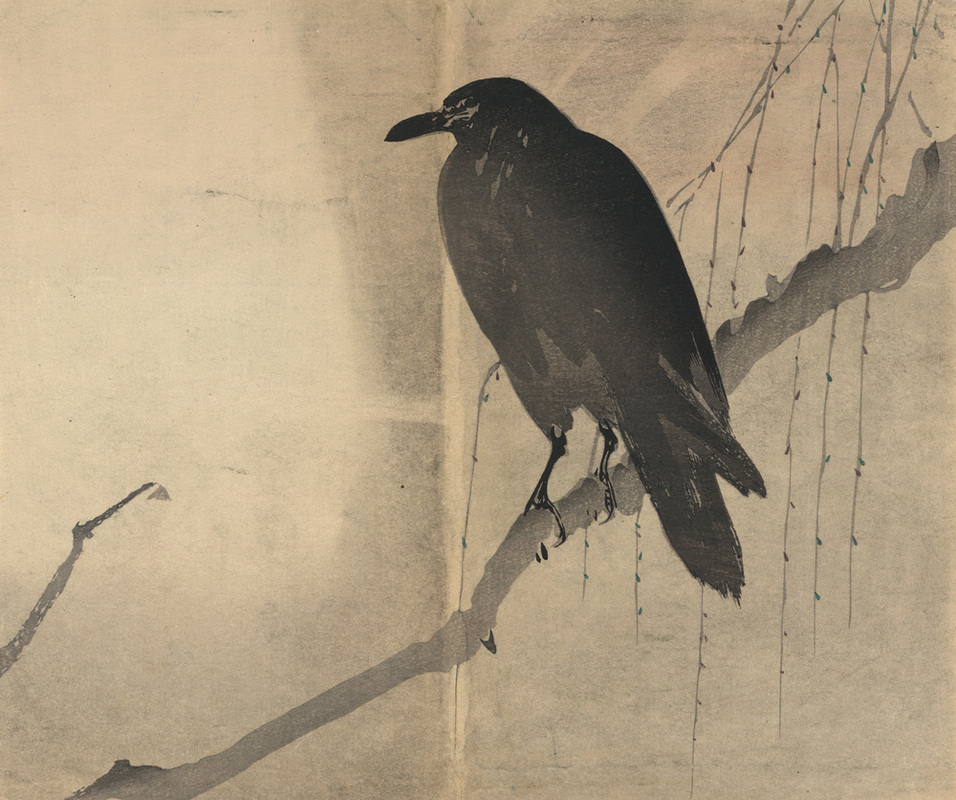 This is a digitized reproduction of an old Japanese ink wash drawing of a Raven sitting on a branch. It is from the late 19th century.